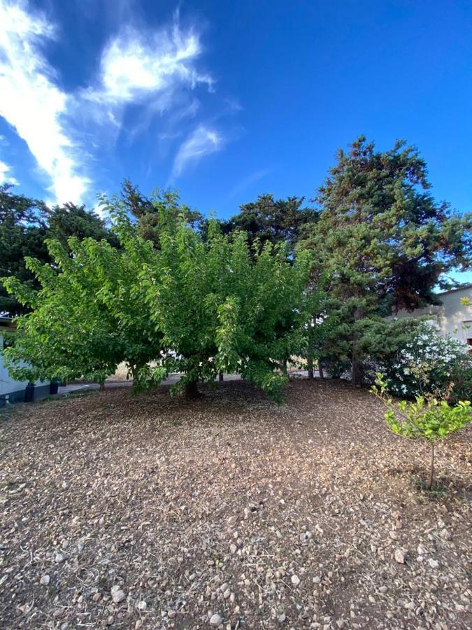 La Casa Del Gelso Apartment Tonnara di Bonagia ภายนอก รูปภาพ