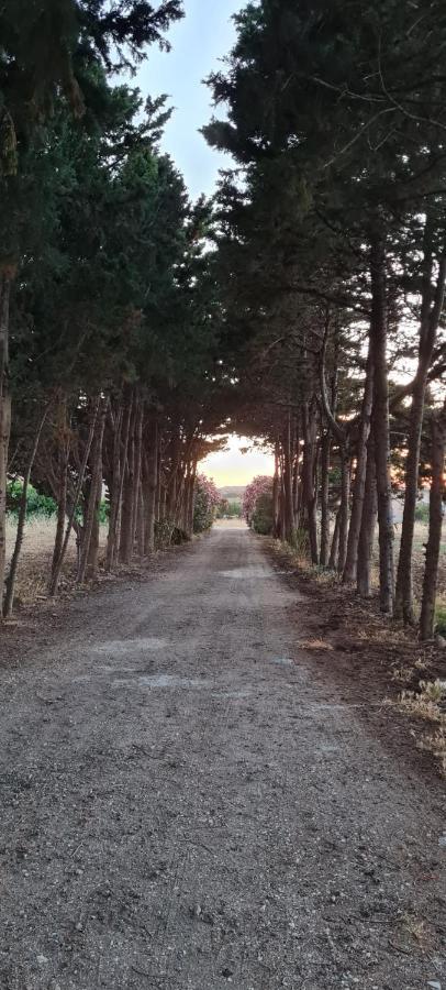 La Casa Del Gelso Apartment Tonnara di Bonagia ภายนอก รูปภาพ