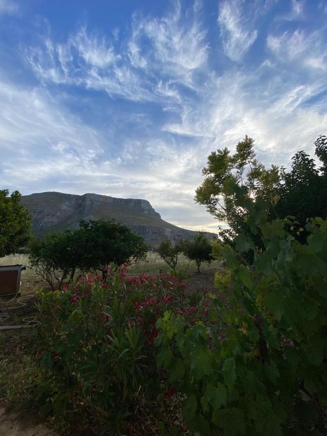 La Casa Del Gelso Apartment Tonnara di Bonagia ภายนอก รูปภาพ